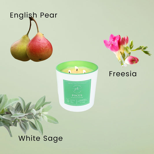 English Pear & Freesia - Focus Candle