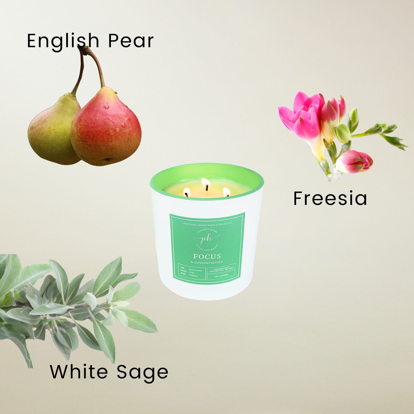 Focus & Concentration Mini Travel Size Candle - 1 wick, 45 g, 13 hours burn time